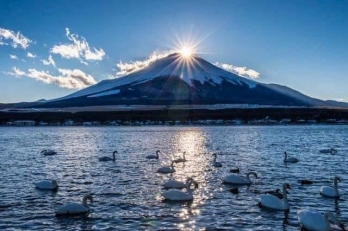 HÀ NỘI – OSAKA - LÀNG CỔ SHIRAKAWA - MATSUMOTO – NÚI PHÚ SĨ – TOKYO